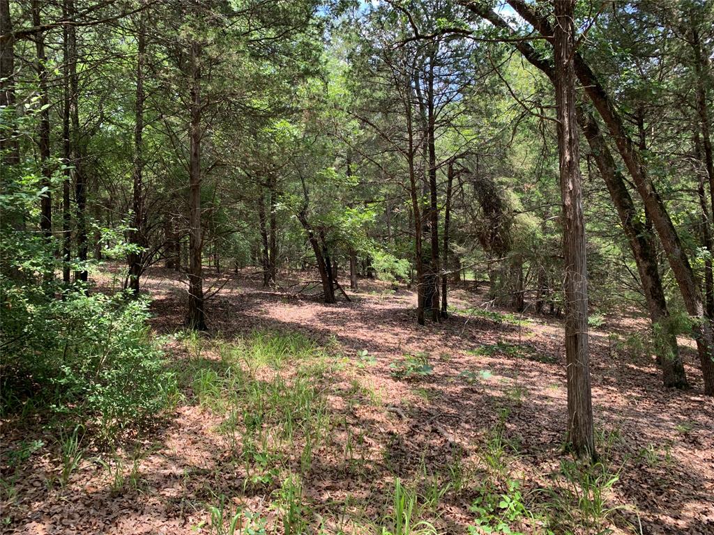 Tbd Hills Drive Property Photo 16