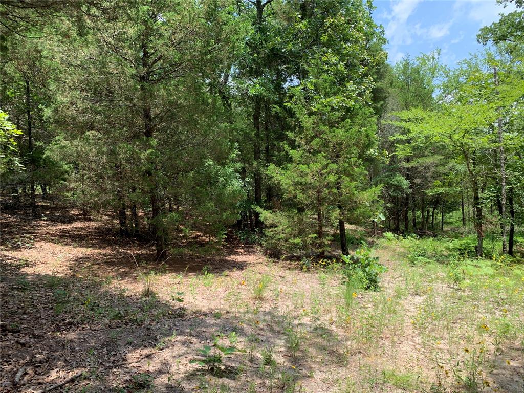 Tbd Hills Drive Property Photo 17