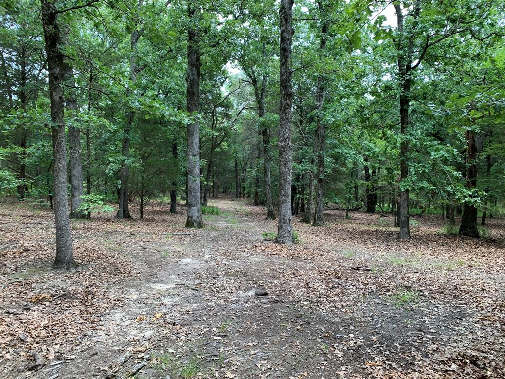 Tbd Hills Drive Property Photo 18
