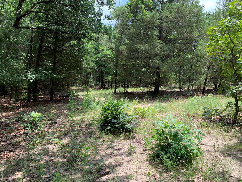 Tbd Hills Drive Property Photo 20