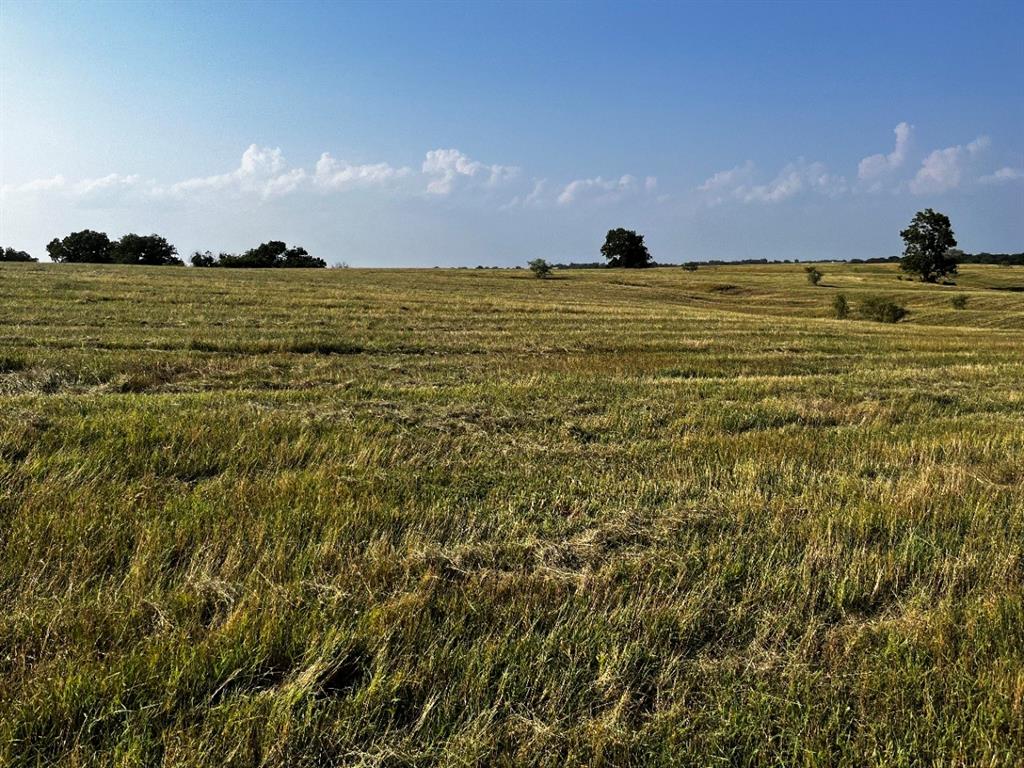 Tbd Fm 2930 Highway Property Photo