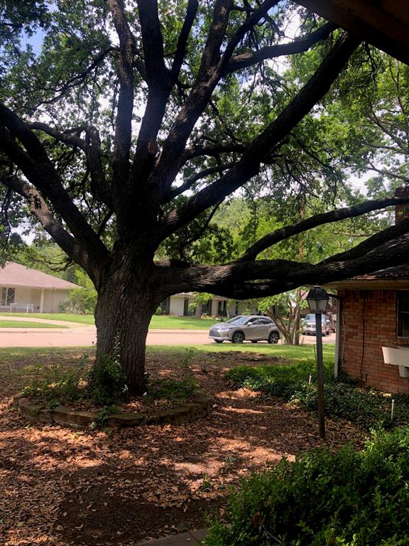 10427 Carry Back Place Property Photo 3