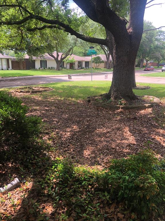 10427 Carry Back Place Property Photo 4