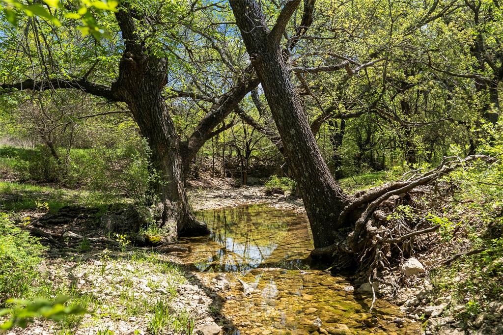 13001 Fm 1201 Property Photo