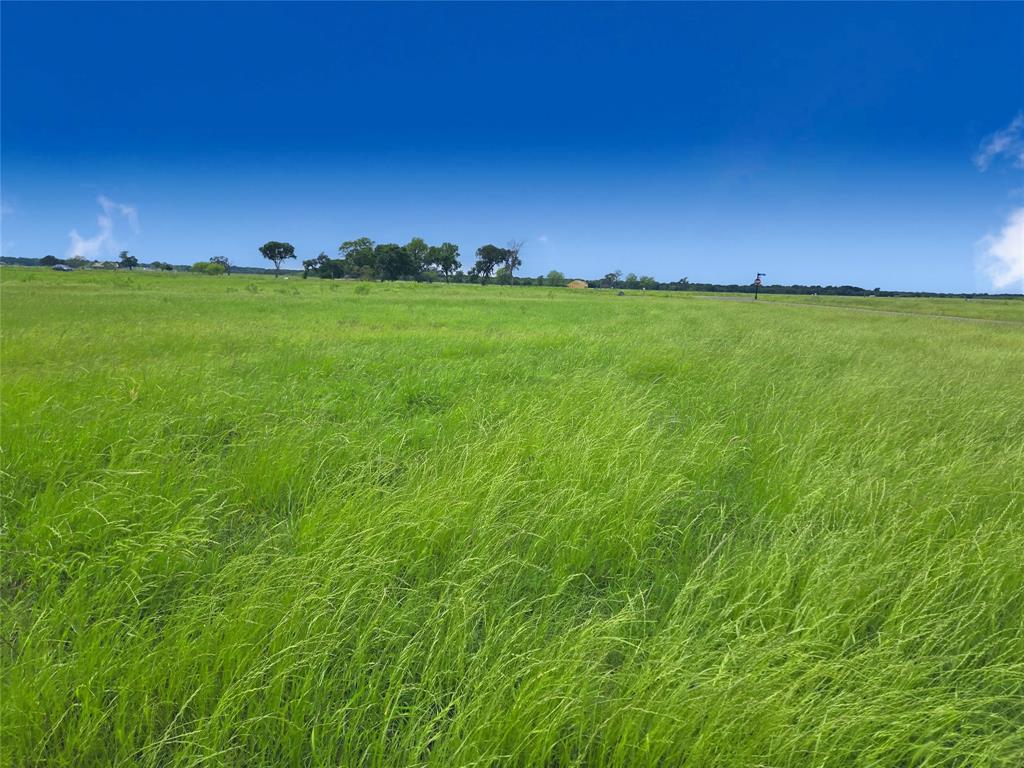 Lot 82 Sunset Boulevard Property Photo 5