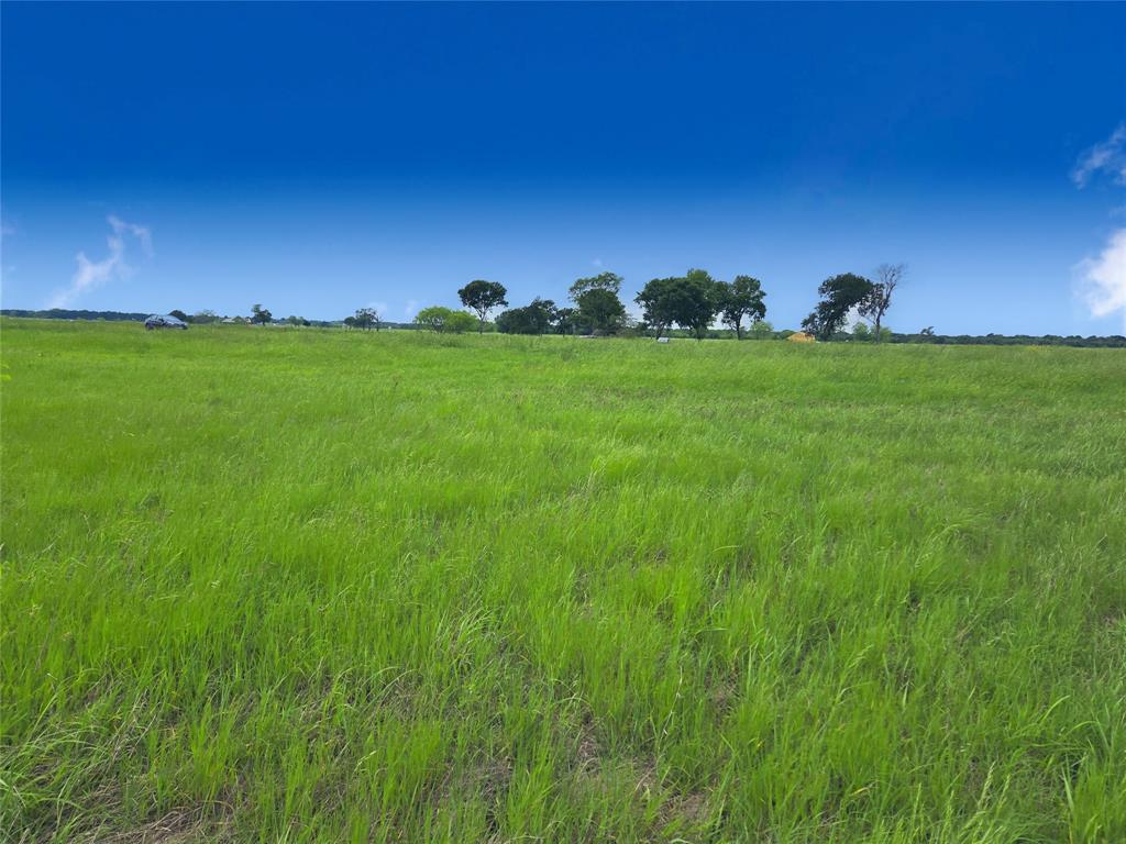 Lot 82 Sunset Boulevard Property Photo 12