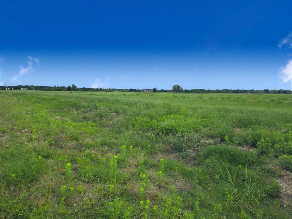 Lot 82 Sunset Boulevard Property Photo 15