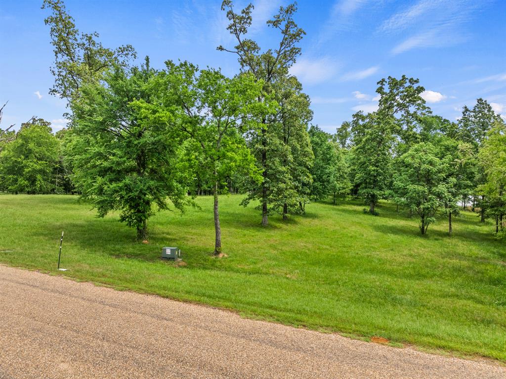 Lot 77 Pr 2712 Property Photo 5