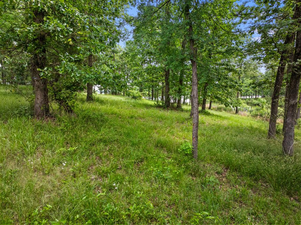 Lot 77 Pr 2712 Property Photo 8