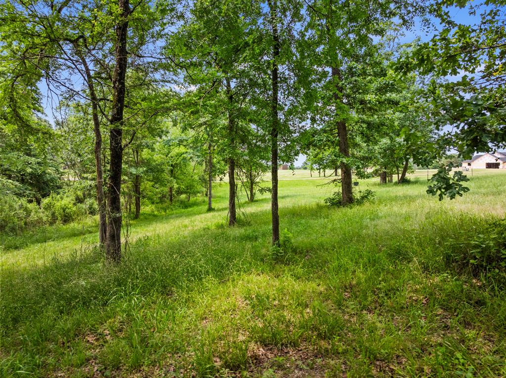 Lot 77 Pr 2712 Property Photo 9