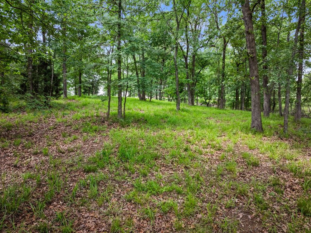 Lot 77 Pr 2712 Property Photo 13