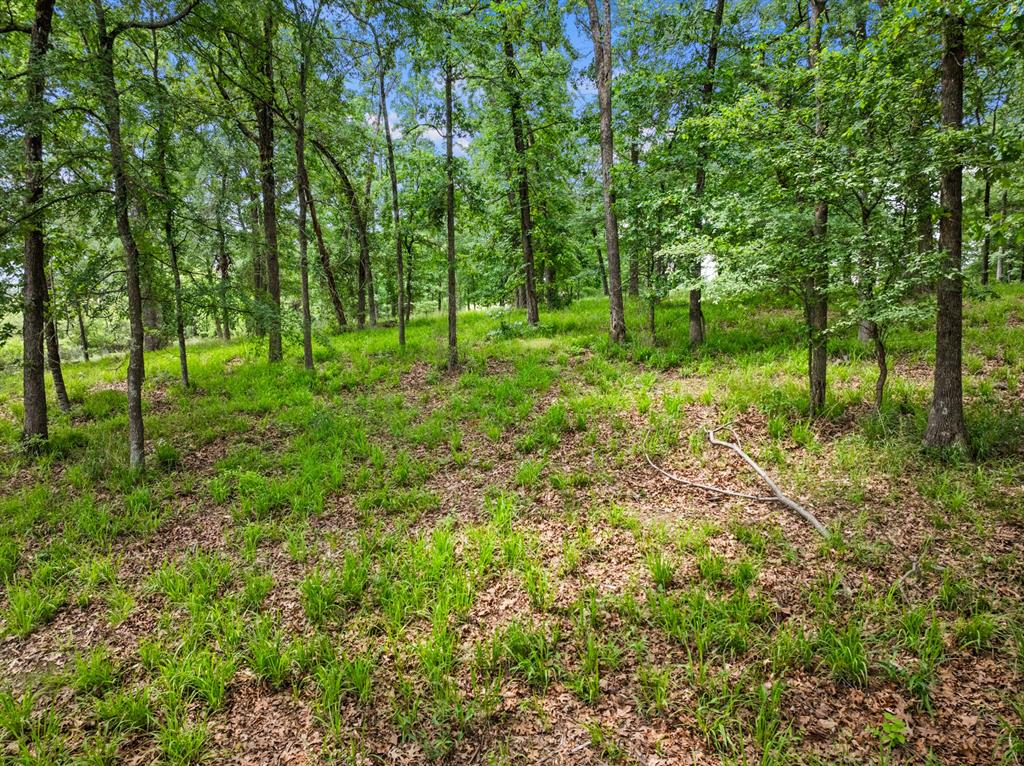 Lot 77 Pr 2712 Property Photo 14