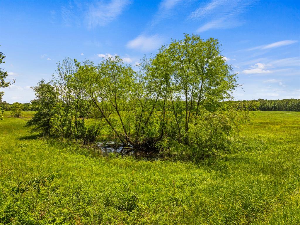 Tbd Cr 4104/4103 Cr 4104 Property Photo