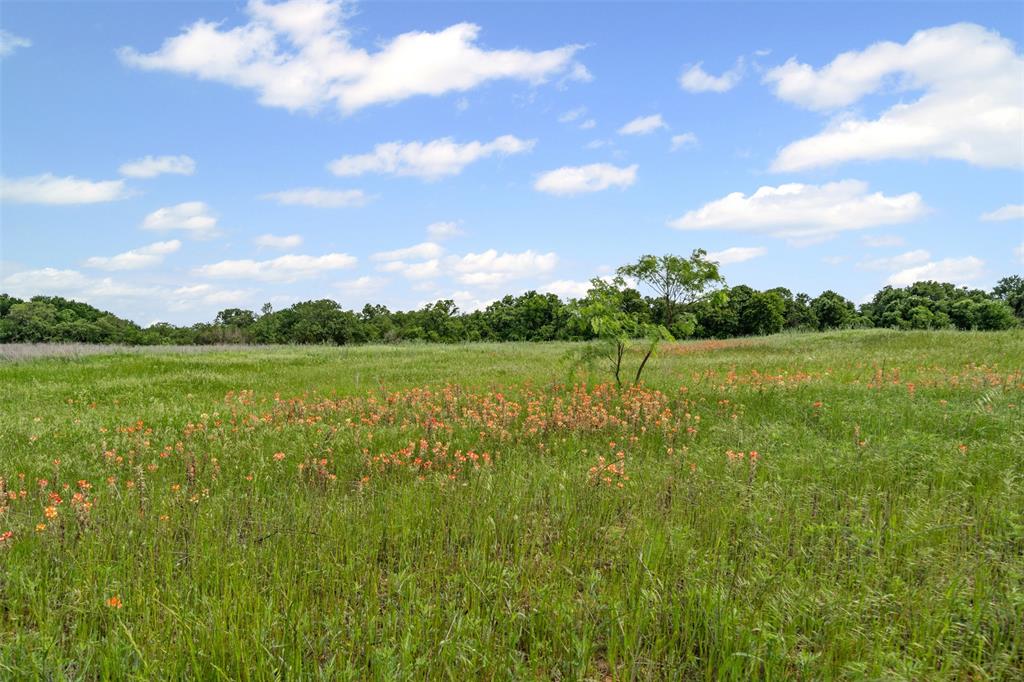 3012 Haylee Drive Property Photo 1