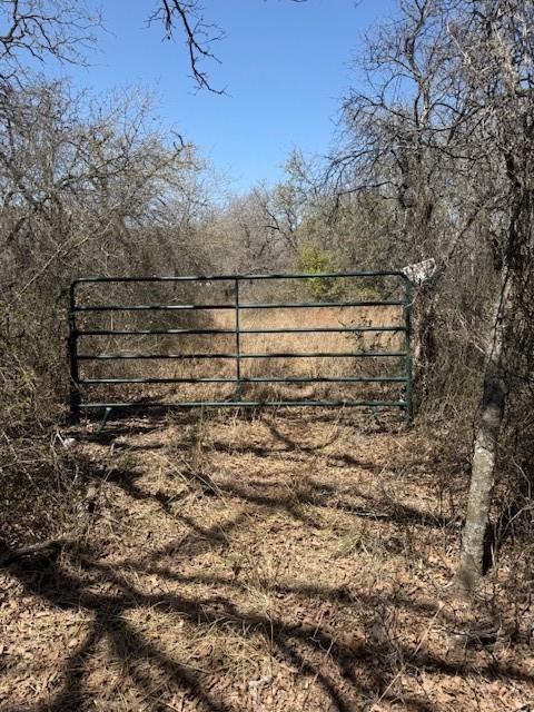 000 County Road 401 Property Photo