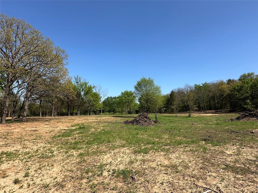 Tbd Lot 1 Cr-147 Property Photo 1