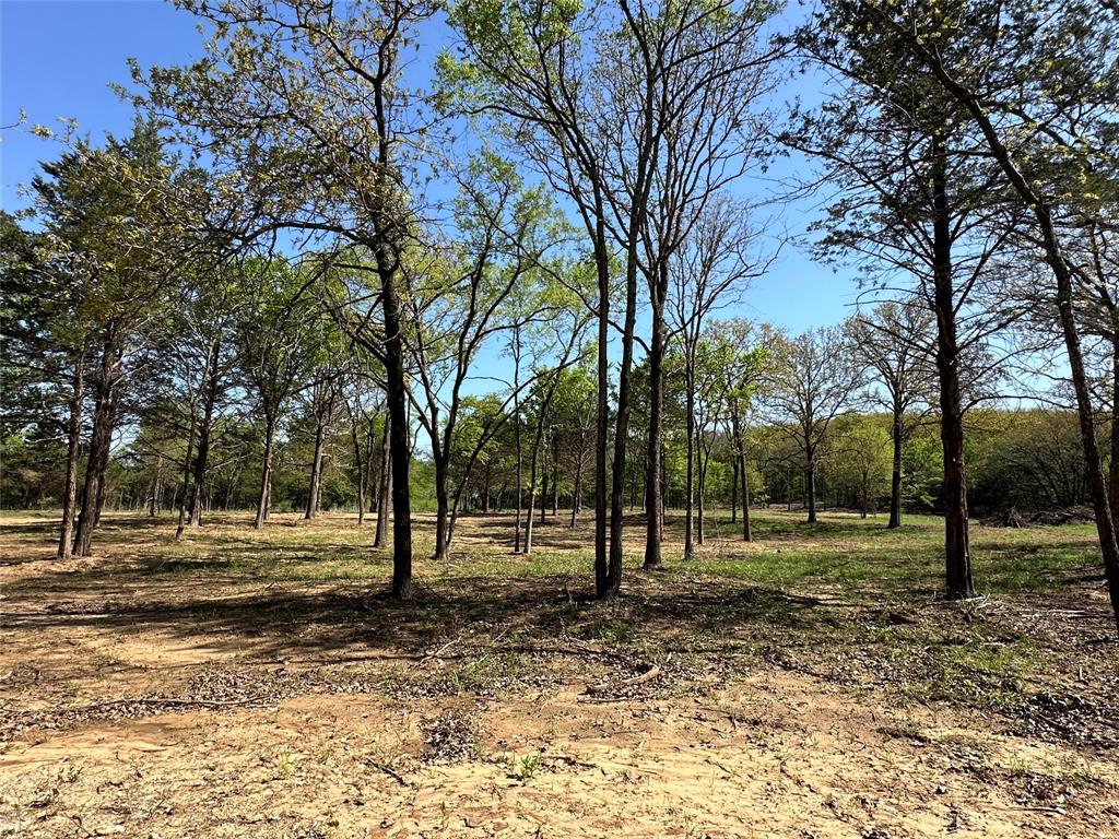 Tbd Lot 3 Cr-147 Property Photo 1