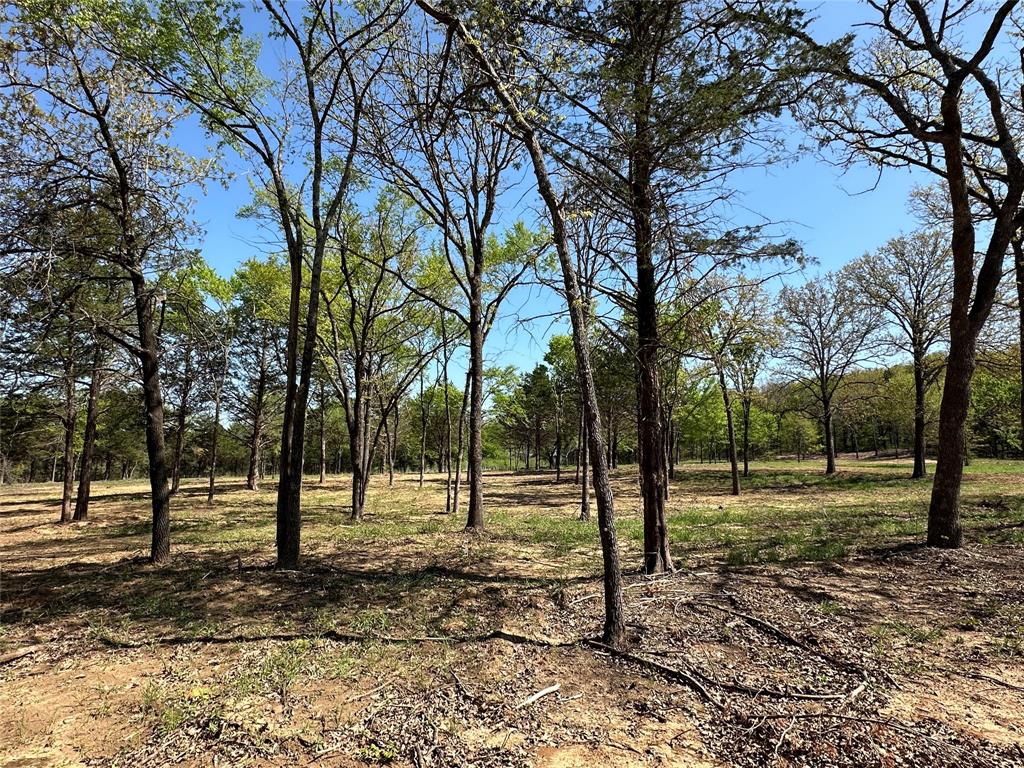 Tbd Lot 5 Cr-197 Property Photo 1
