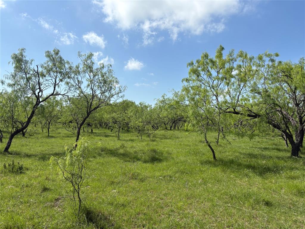 Tbd Nw Cr 4160 Property Photo 1
