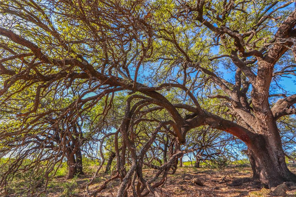 Tbd Cr 404 Property Photo 3