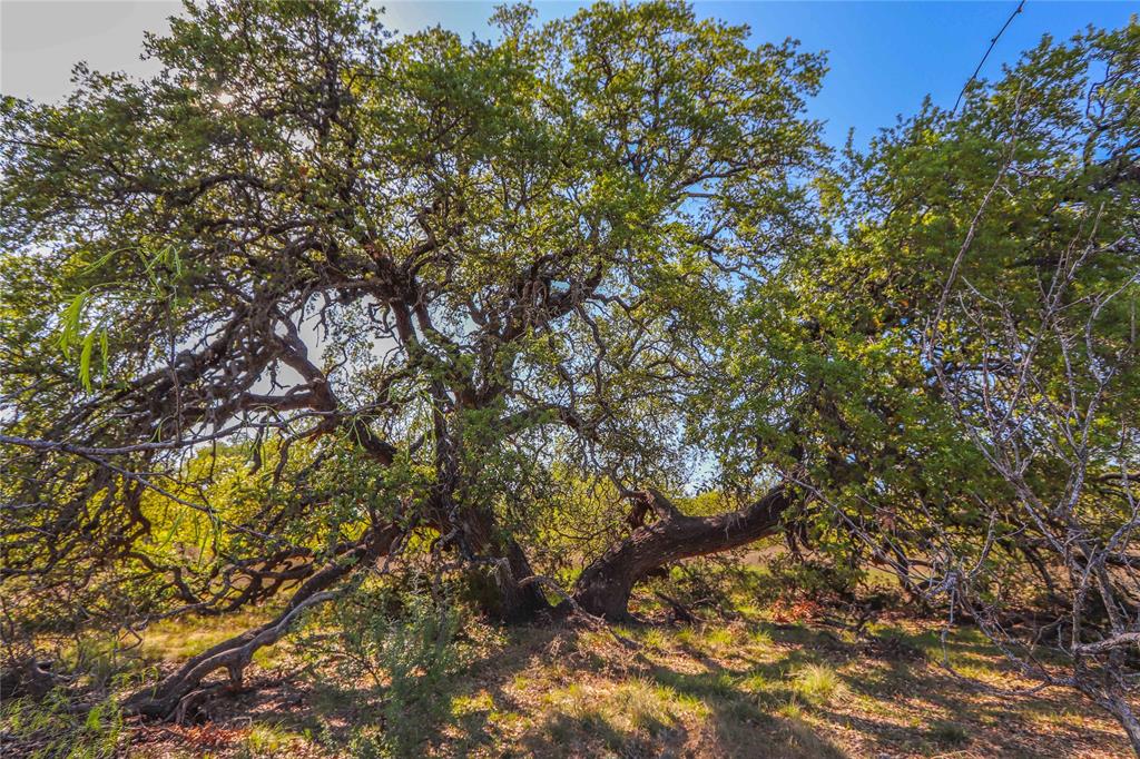 Tbd Cr 404 Property Photo 8