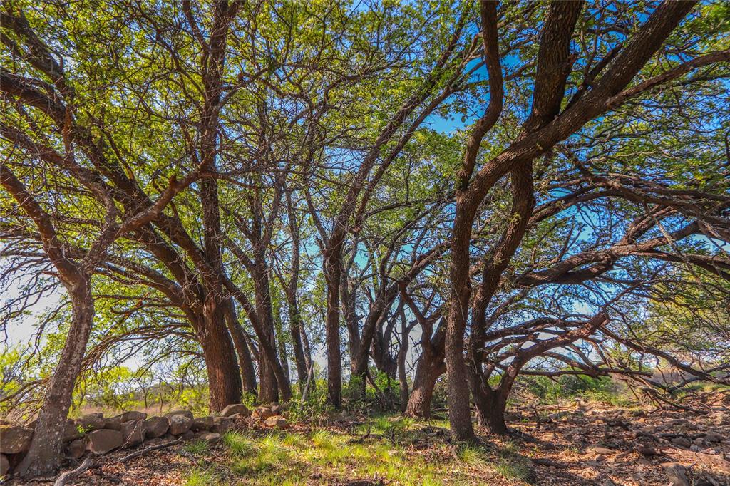 Tbd Cr 404 Property Photo 13