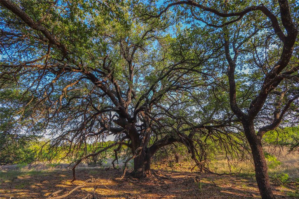 Tbd Cr 404 Property Photo 20