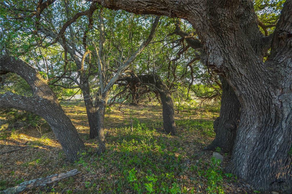 Tbd Cr 404 Property Photo 21