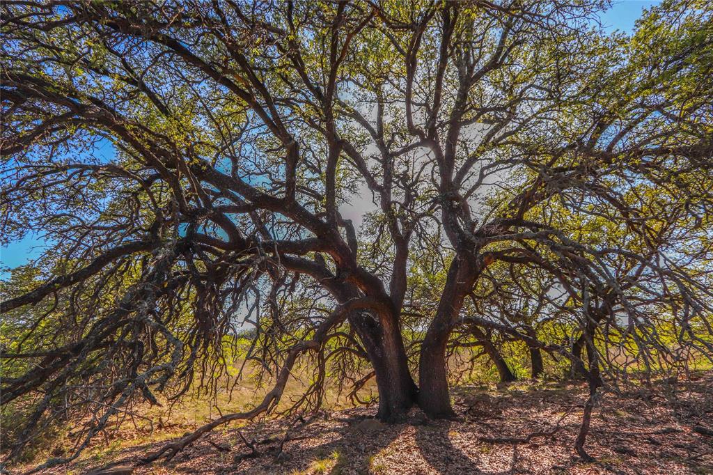 Tbd Cr 404 Property Photo 23