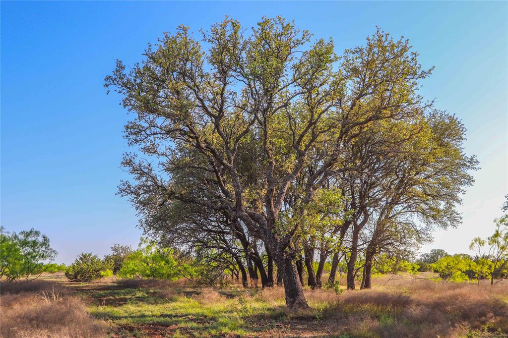 Tbd Cr 404 Property Photo 33