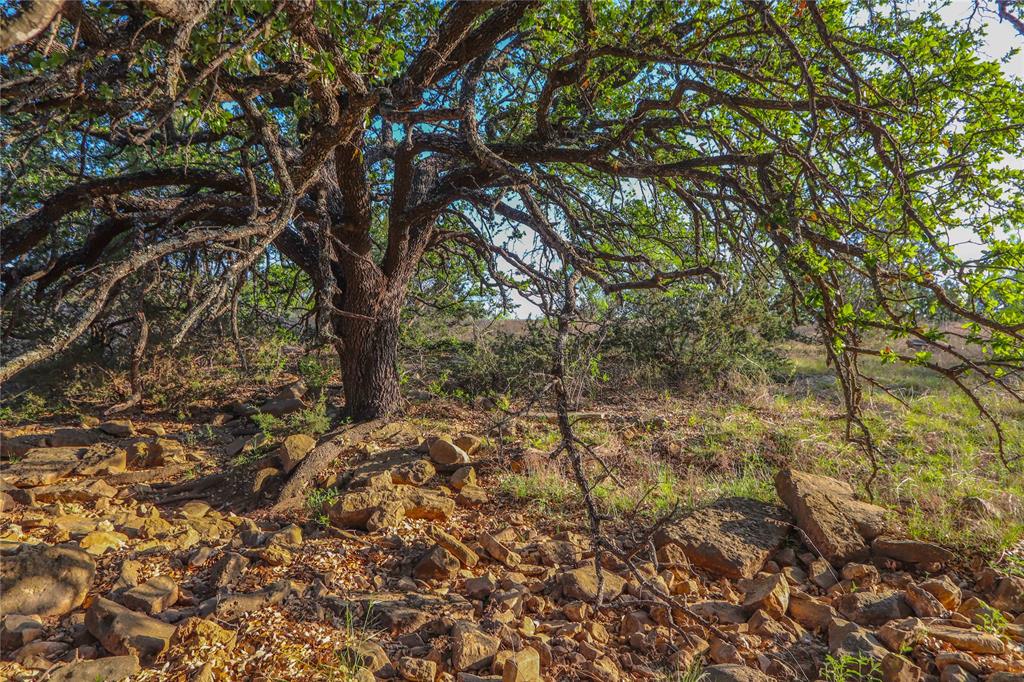 Tbd Cr 404 Property Photo 34