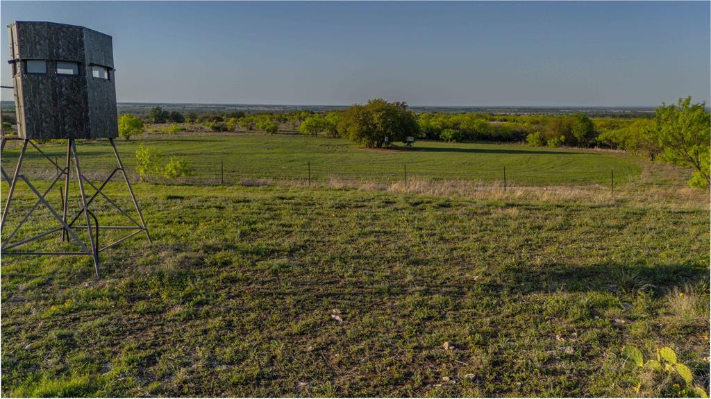 1952 Fm 1689 Property Photo 6