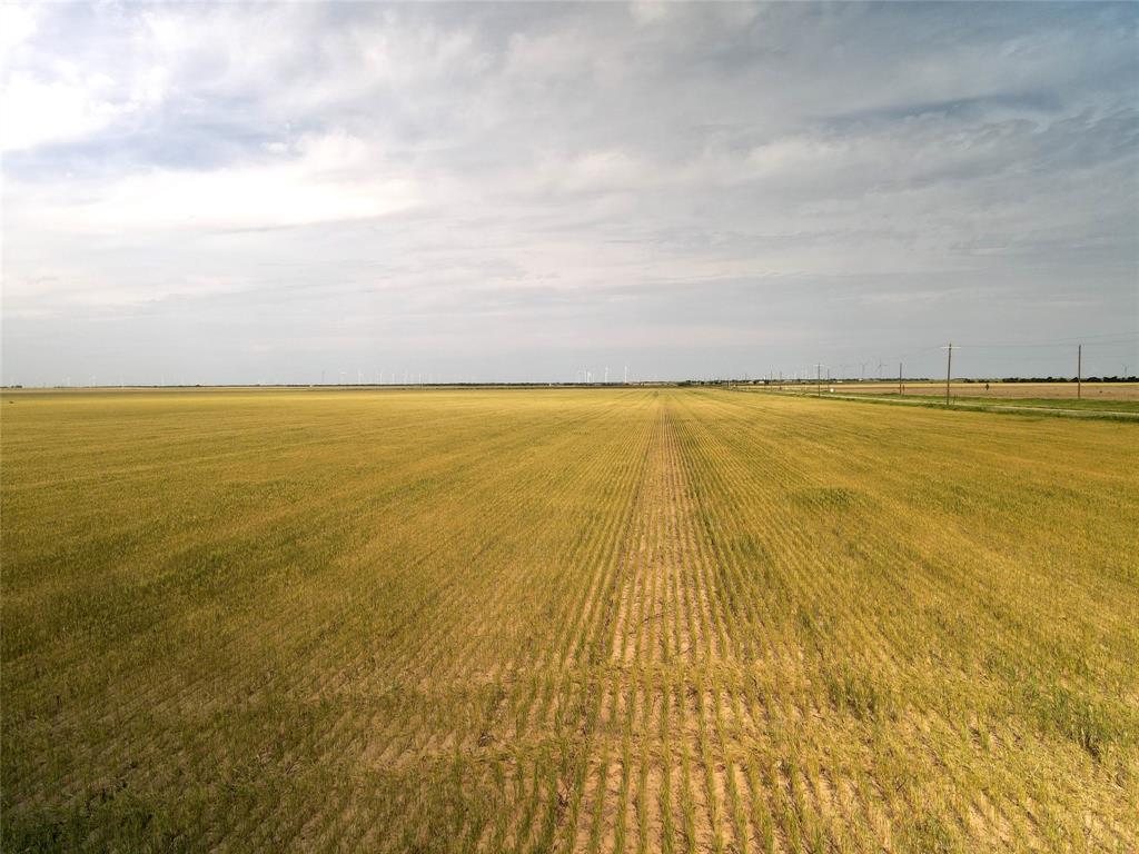 338 Acres Fm 617 Property Photo