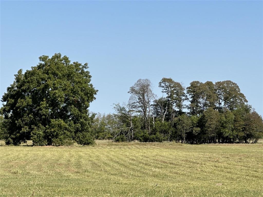 1.063 Ac County Road 111 Property Photo 4