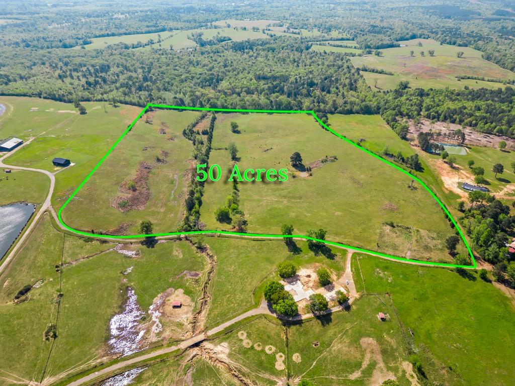 Tbd Wild Daisy Road 50 Acres Property Photo