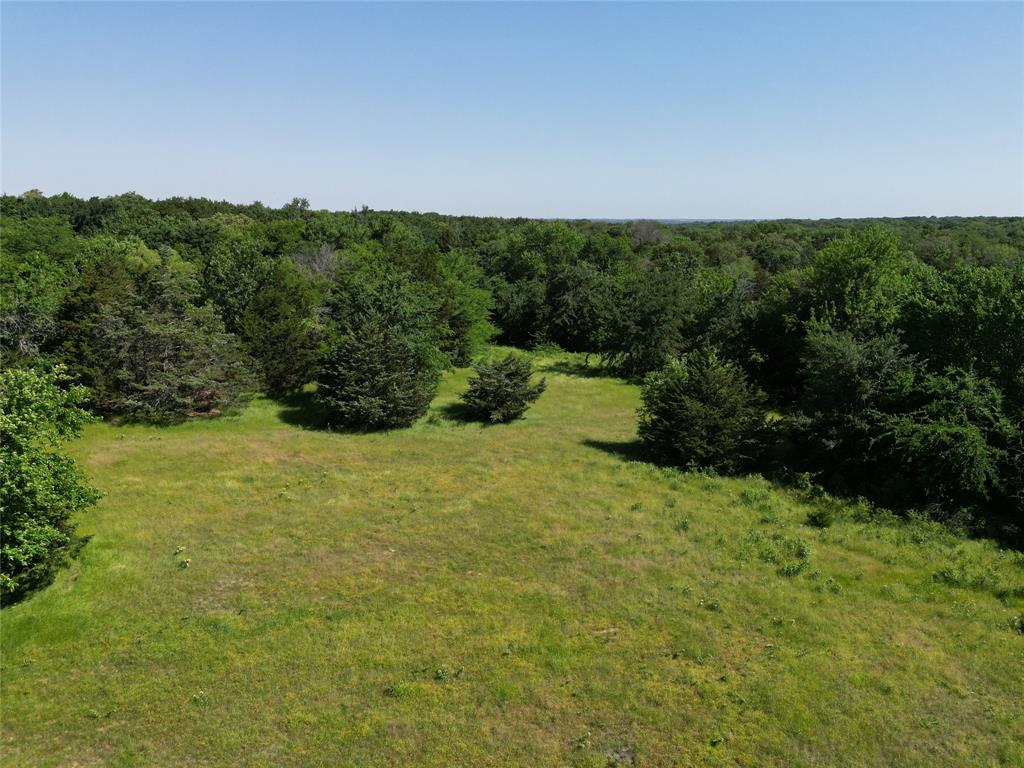 Tbd County Road 108 Property Photo 14
