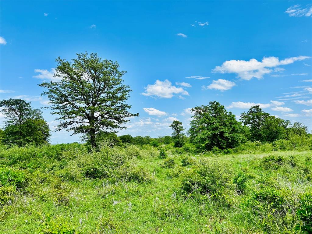 Tbd Cr 429 Property Photo 3