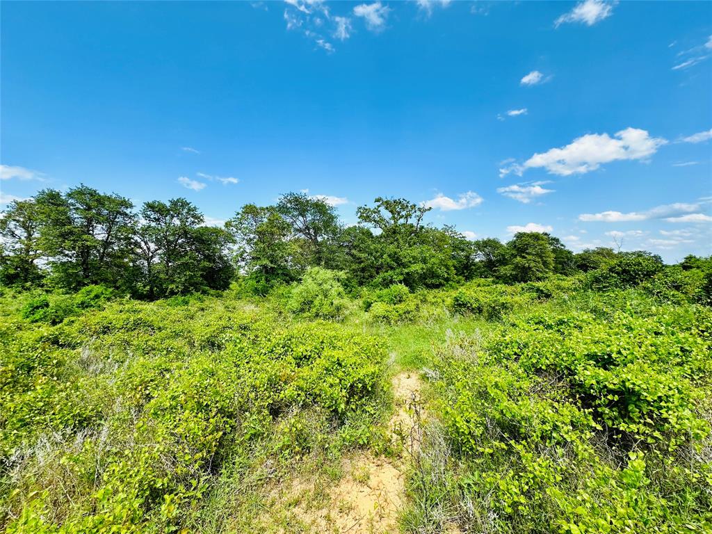 Tbd Cr 429 Property Photo 4