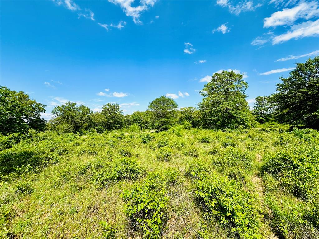 Tbd Cr 429 Property Photo 5