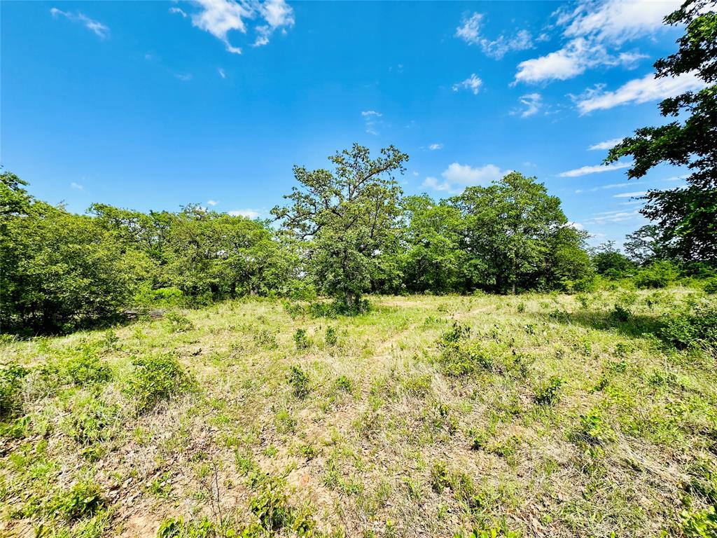 Tbd Cr 429 Property Photo 6