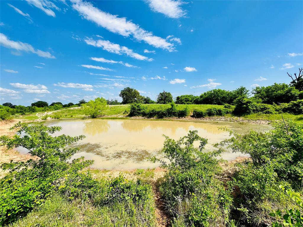 Tbd Cr 429 Property Photo 7