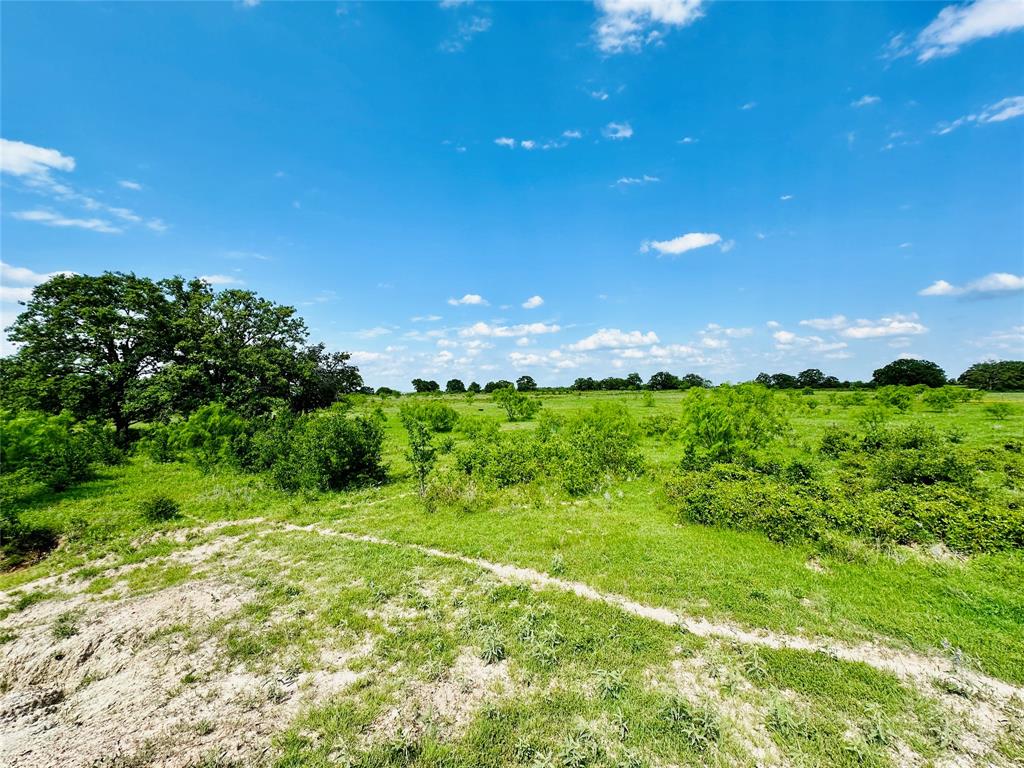 Tbd Cr 429 Property Photo 10