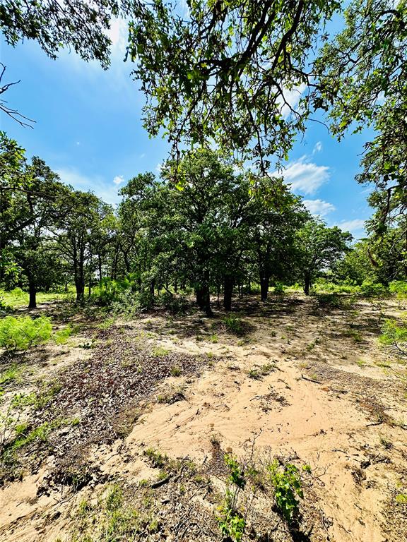 Tbd Cr 429 Property Photo 12