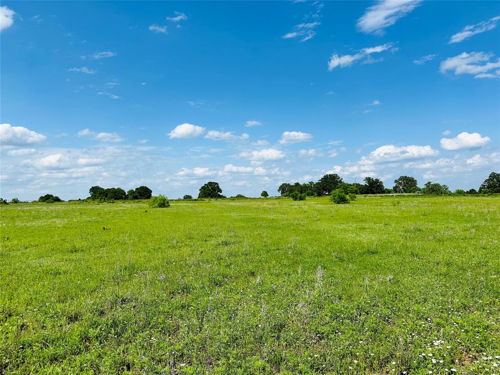 Tbd Cr 429 Property Photo 13