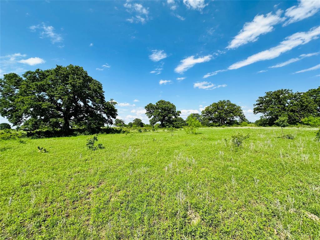 Tbd Cr 429 Property Photo 14