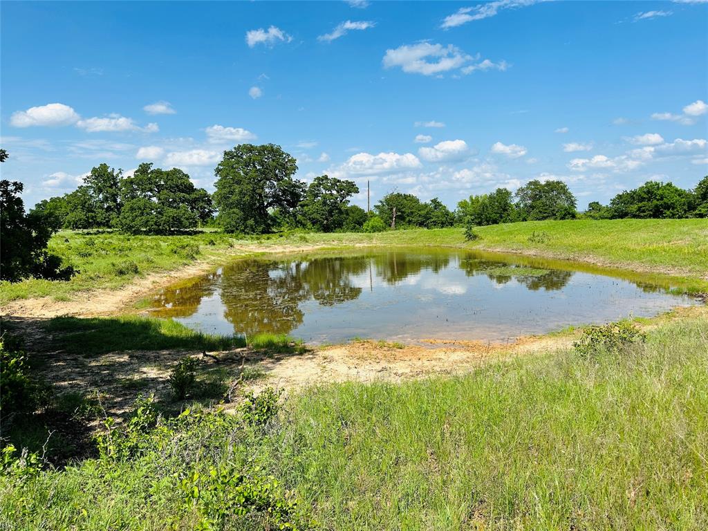 Tbd Cr 429 Property Photo 15