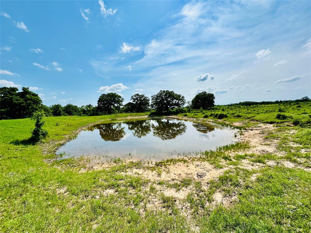 Tbd Cr 429 Property Photo 16
