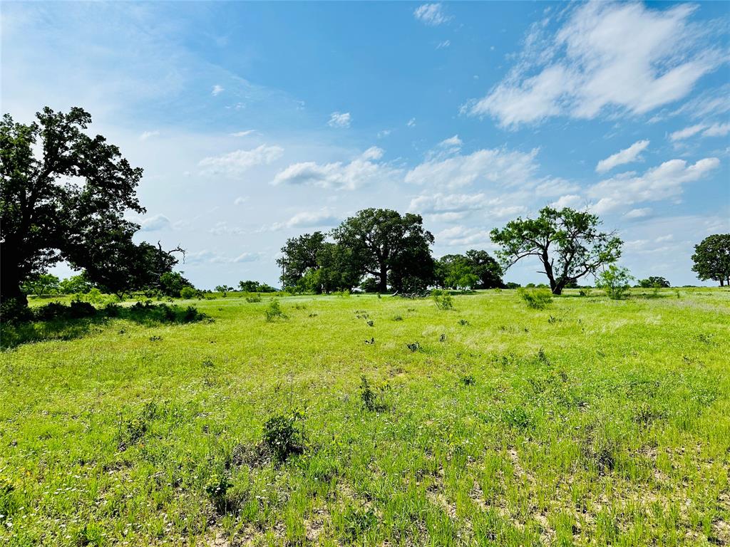 Tbd Cr 429 Property Photo 18