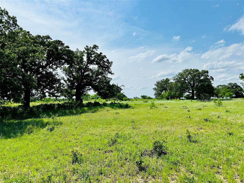Tbd Cr 429 Property Photo 19