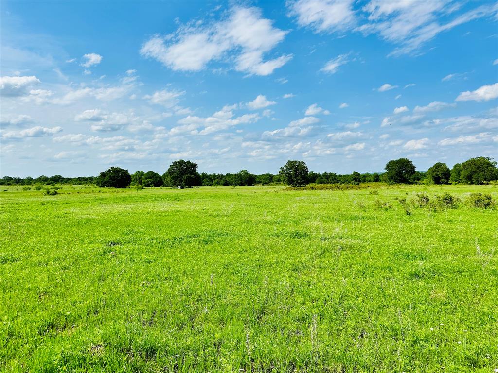 Tbd Cr 429 Property Photo 21